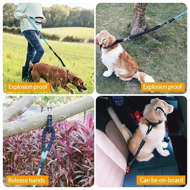 Car Pet Seat Belt: Secure Restraint for Dogs on the Go