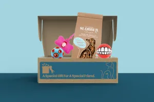 Dog Treat & Toys Present Box (Mini)
