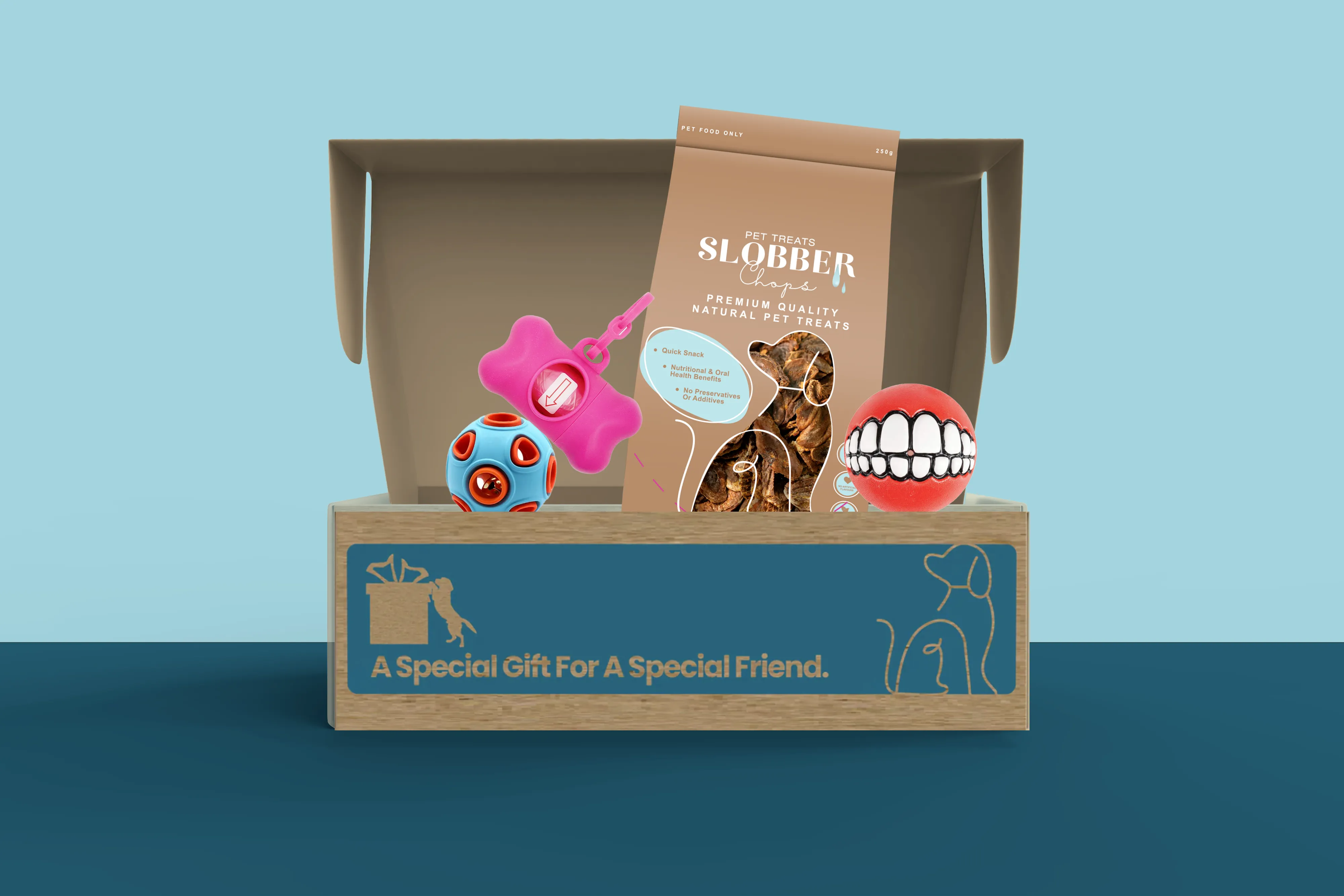 Dog Treat & Toys Present Box (Mini)