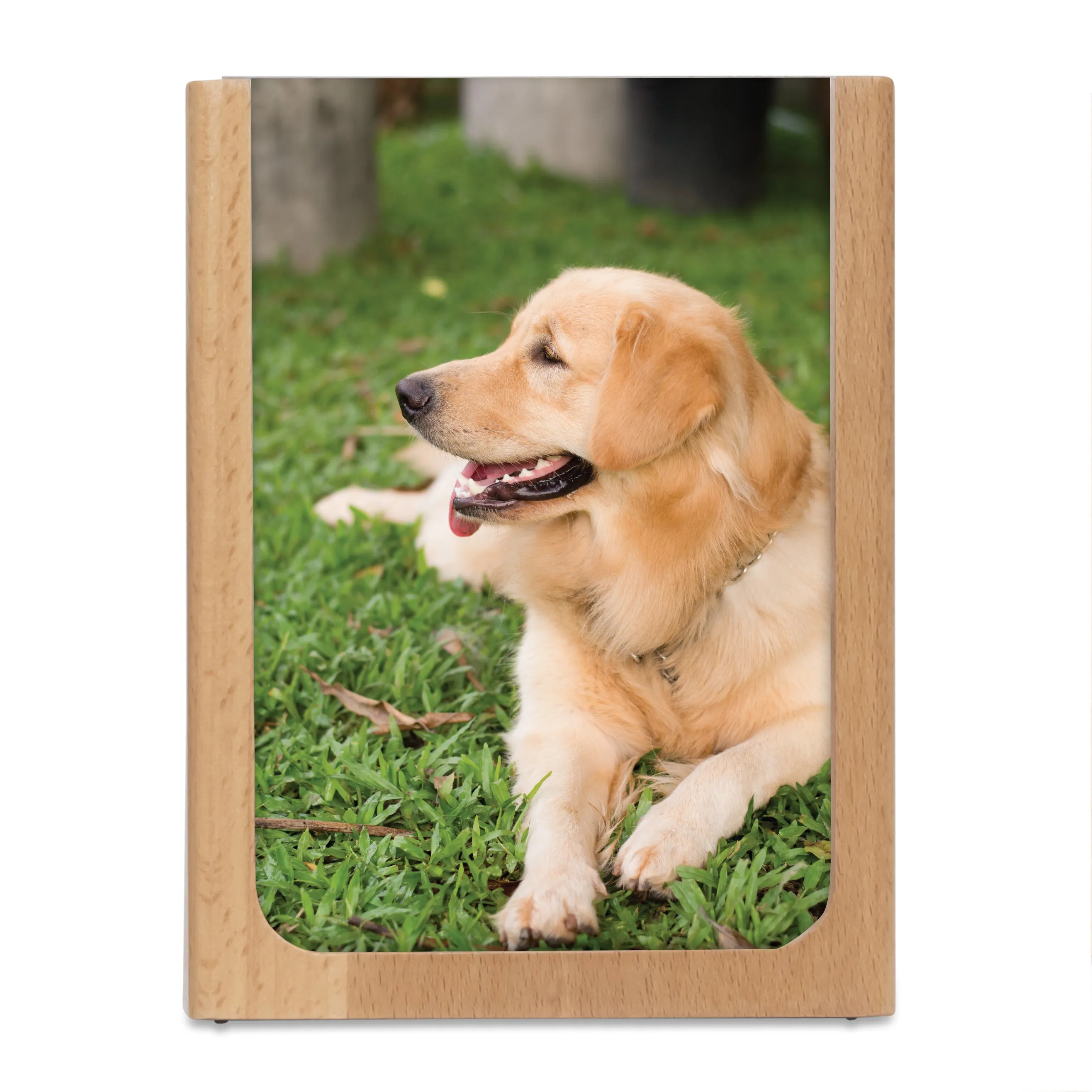 Large Picture Frame Pen Holder