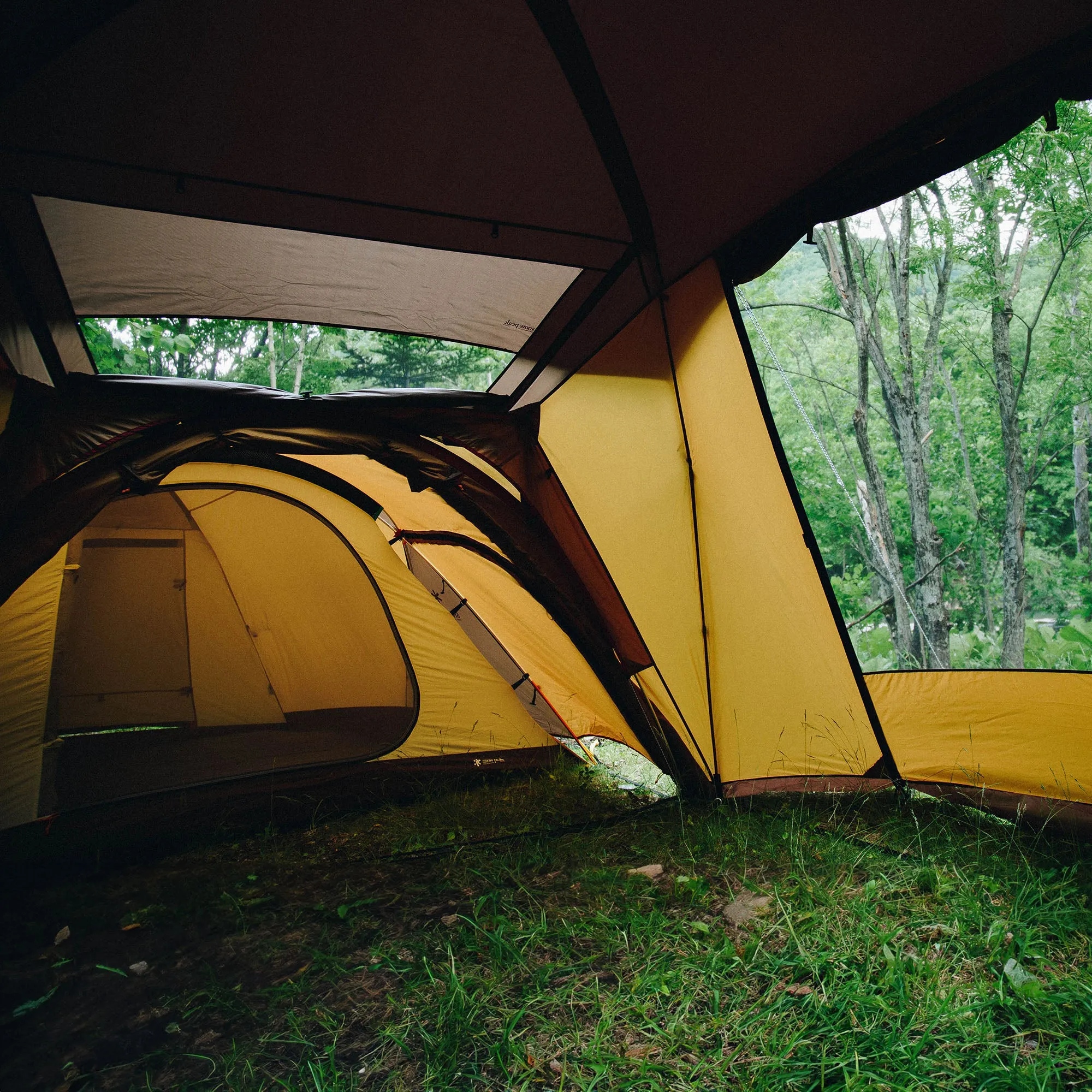 Mesh Shelter