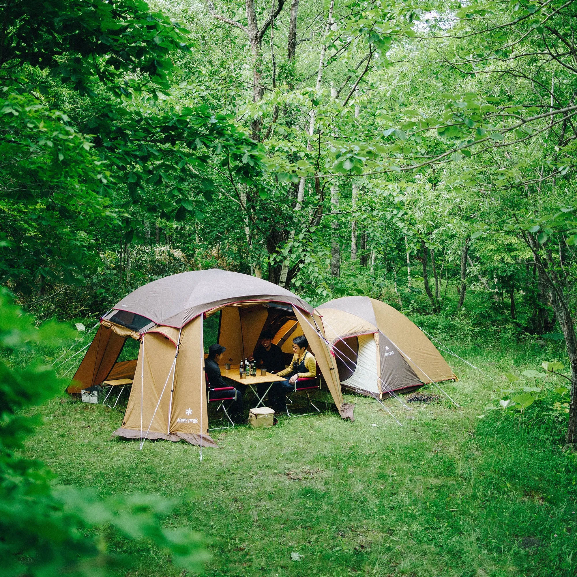 Mesh Shelter
