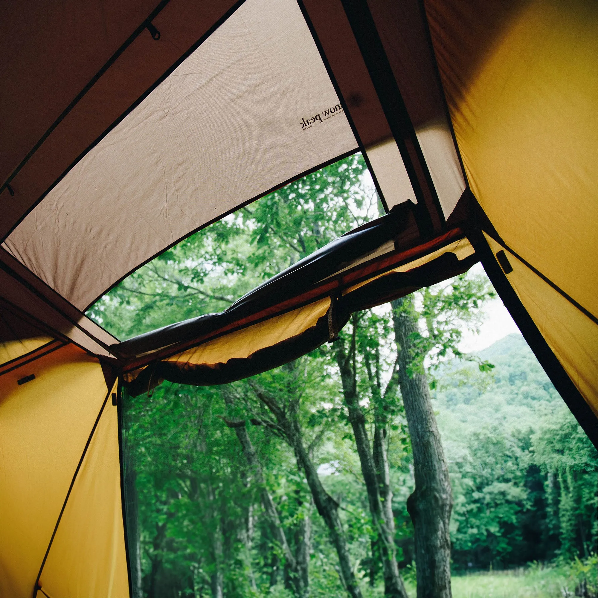 Mesh Shelter
