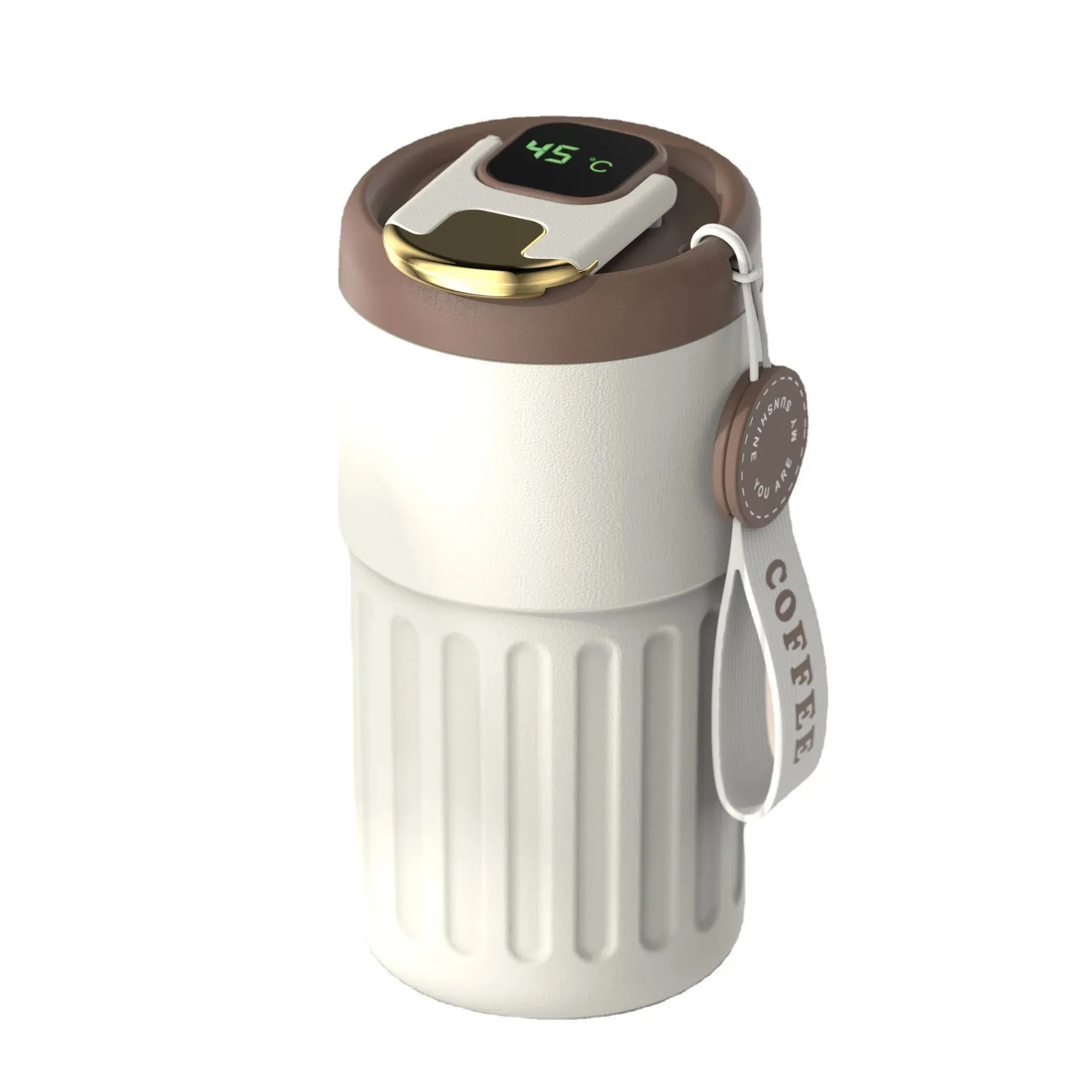 Smart Temperature Display Water Bottle